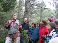 catalunya pais de boscos