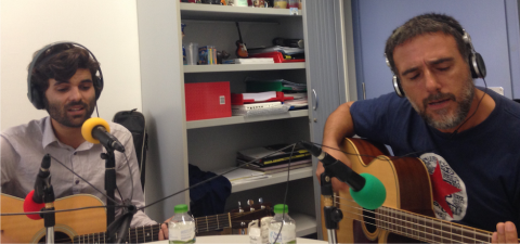 mlp218_coriola_1-480x225